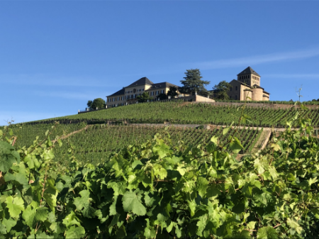 Obrázek pro kategorii Rheingau